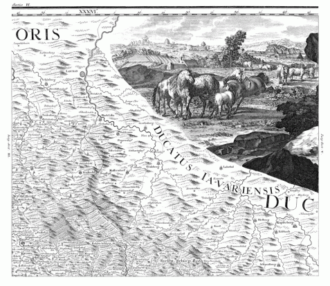 Velká Müllerova mapa